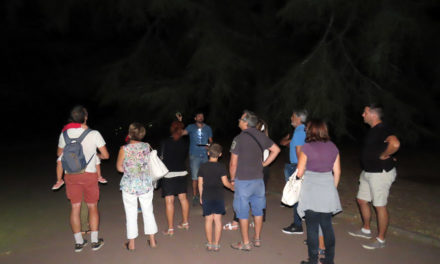 Cohabiter avec les chauves-souris en Camargue