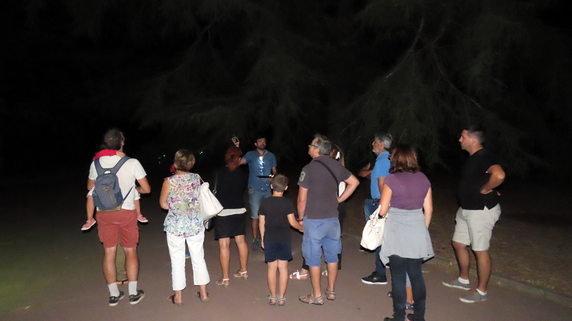 Cohabiter avec les chauves-souris en Camargue