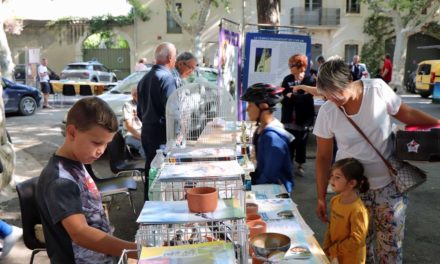 Le Cailar : un lâcher de pigeons ponctue la journée des associations