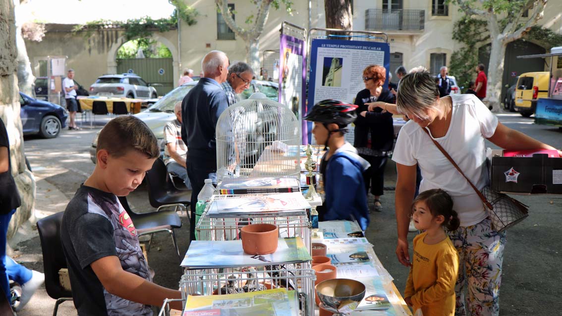Le Cailar : un lâcher de pigeons ponctue la journée des associations