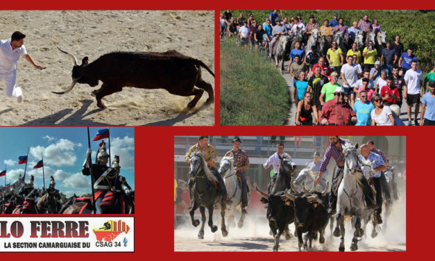 Revivre, Festa de l’Onor, Trophée des Vignerons, un grand week-end festif