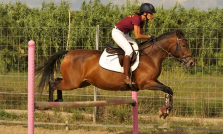 Journée nationale du Cheval à Beauvoisin