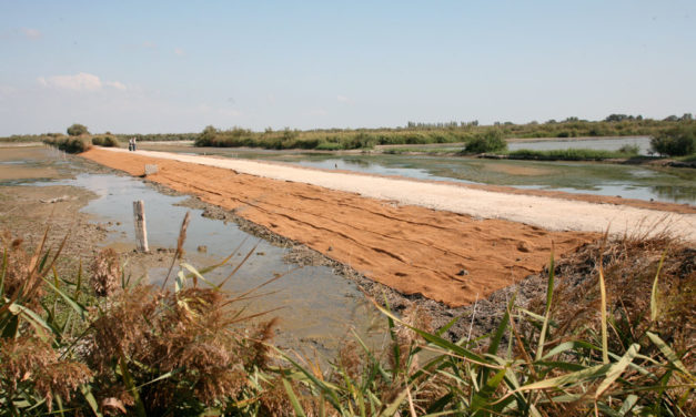 Des travaux importants dans la Réserve Naturelle Régionale du Scamandre