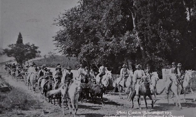 Gaston Bouzanquet, un regard photographique sur la Camargue.