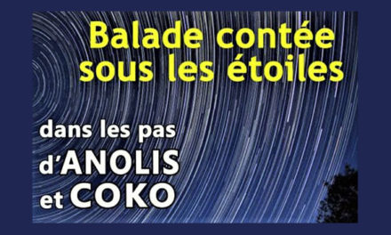Balade enchantée sous les étoiles.