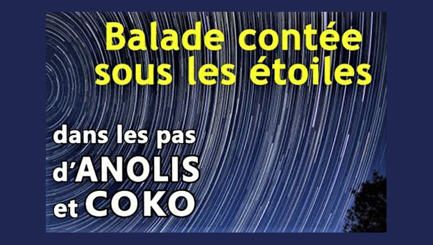 Balade enchantée sous les étoiles.