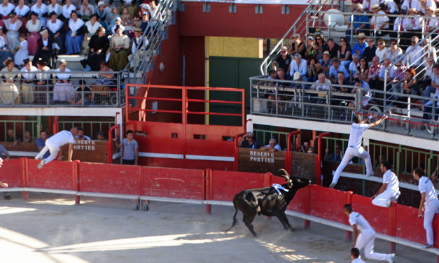 La finale du Trophée de l’Avenir aux arènes de Vauvert