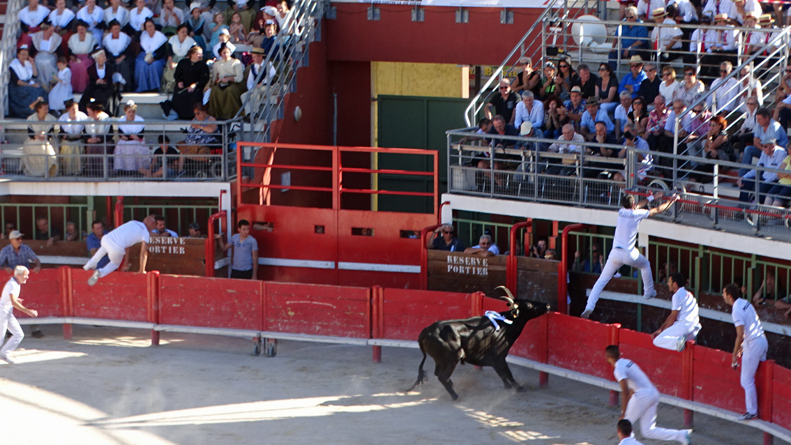 La finale du Trophée de l’Avenir aux arènes de Vauvert