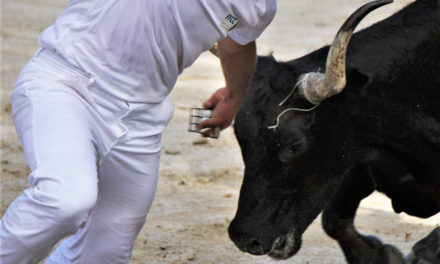 La Finale Ligue Occitanie aux arènes de Beauvoisin