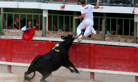 Finale du Trophée de l’Avenir à Vauvert