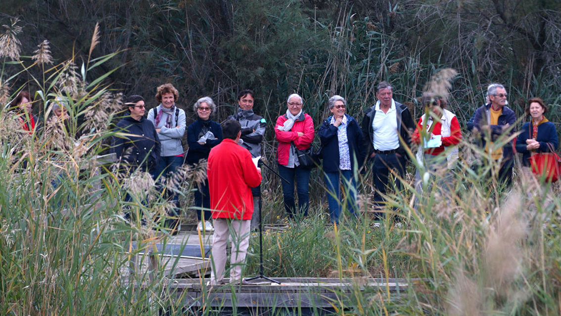 Les goûts et les couleurs du Scamandre