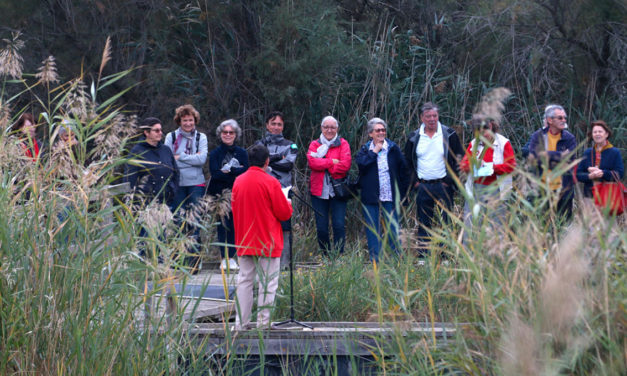 Les goûts et les couleurs du Scamandre