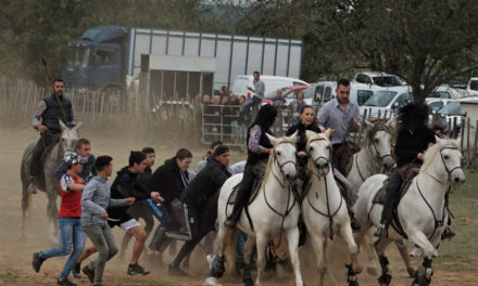 Beauvoisin : La journée de Revivre en pays.