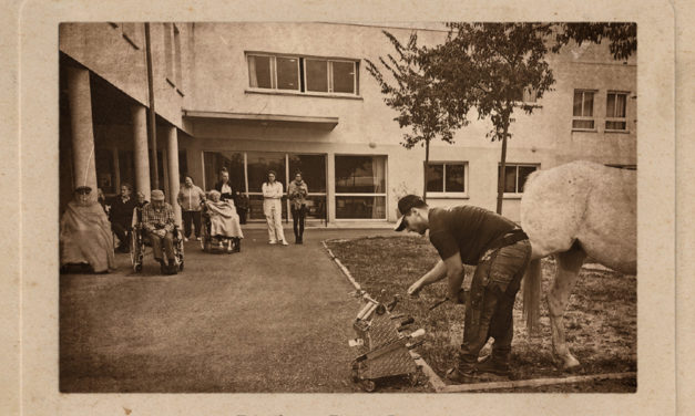Un maréchal-ferrant à l’Ehpad de Beauvoisin.