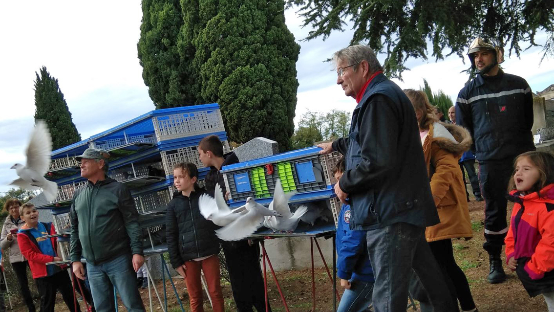 Le Cailar : Un lâcher de 300 pigeons conclut la cérémonie du 11 novembre