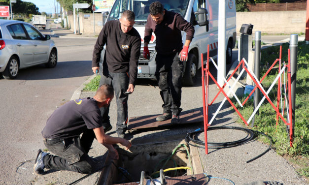 La fibre optique arrive à grands pas en Petite Camargue