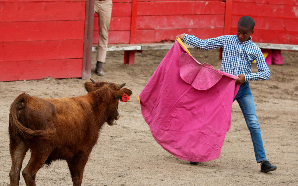 La Capéa du Club taurin El Campo a tenu ses promesses