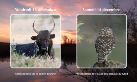 Deux « Belles Soirées » vous attendent au Scamandre