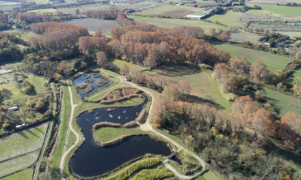Avec INDRONEXT, le Parc des Aigrettes vu du ciel