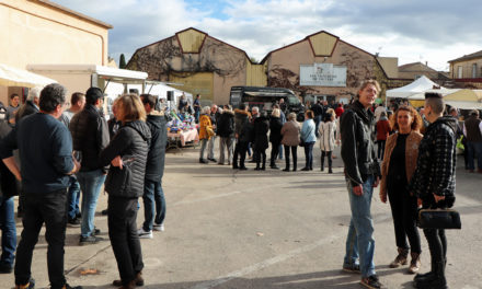 Les Maîtres Vignerons de Vauvert & Gallargues dévoilent le nouveau millésime