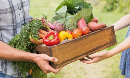 Petite Camargue : Où consommer local en circuit court ?