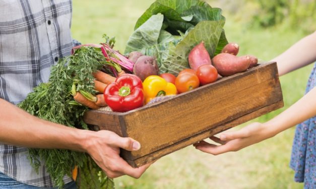 Petite Camargue : Où consommer local en circuit court ?