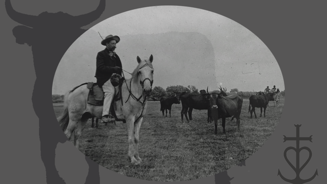 Folco de Baroncelli : La Camargue lui doit tout… ou presque