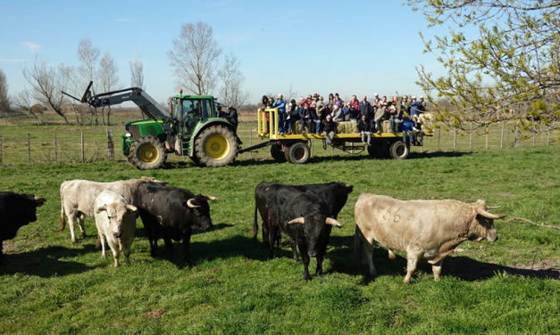 El Campo chez Roland Durand