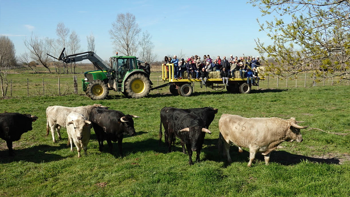 El Campo chez Roland Durand