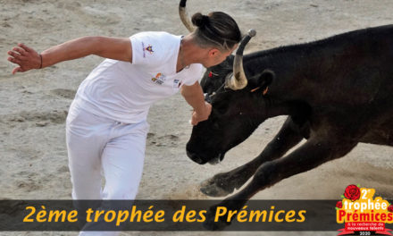Le 2ème trophée des prémices débute ce mercredi