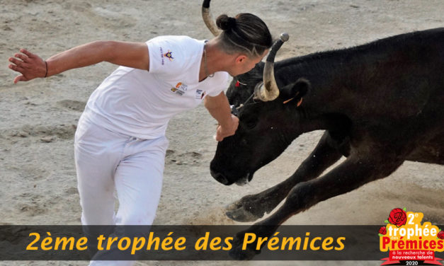 Le 2ème trophée des prémices débute ce mercredi