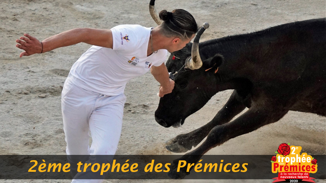 Le 2ème trophée des prémices débute ce mercredi