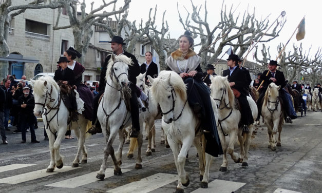 Hommage à Fanfonne Guillierme : Rendez-vous majeur de la bouvine et des traditions camarguaises