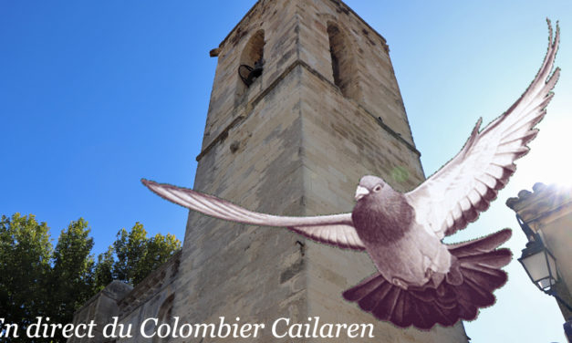 Quiz sur « Les Relations du Colombophile avec ses pigeons »