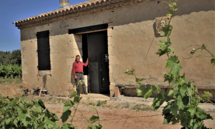 seconde vie pour un mazet de vigne