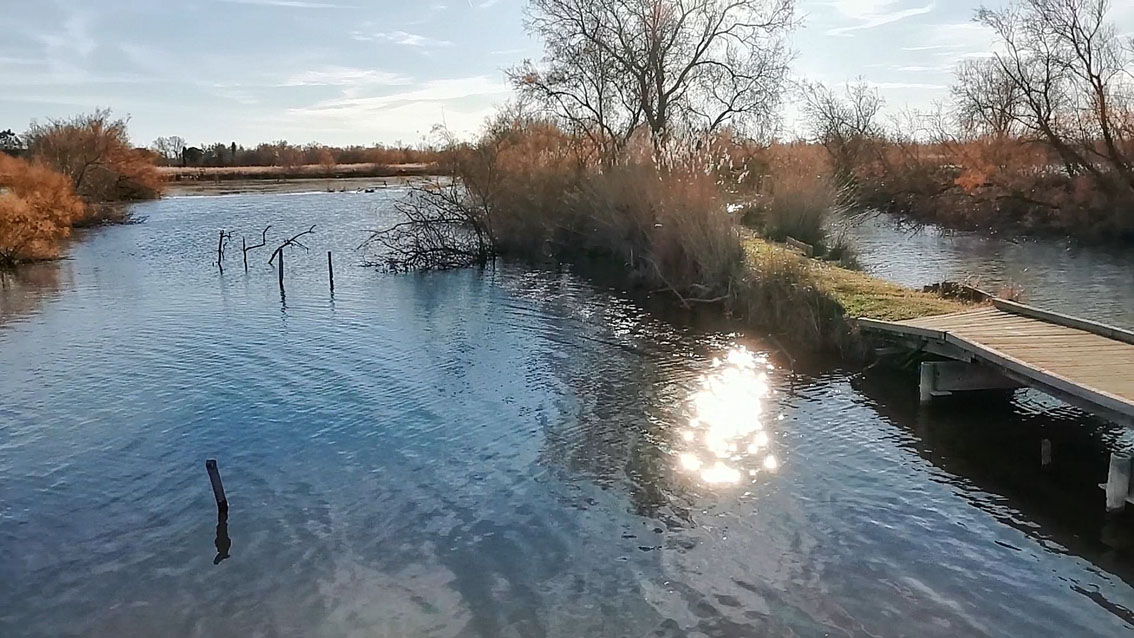 Les sentiers de promenade ont rouvert au Scamandre à Gallician