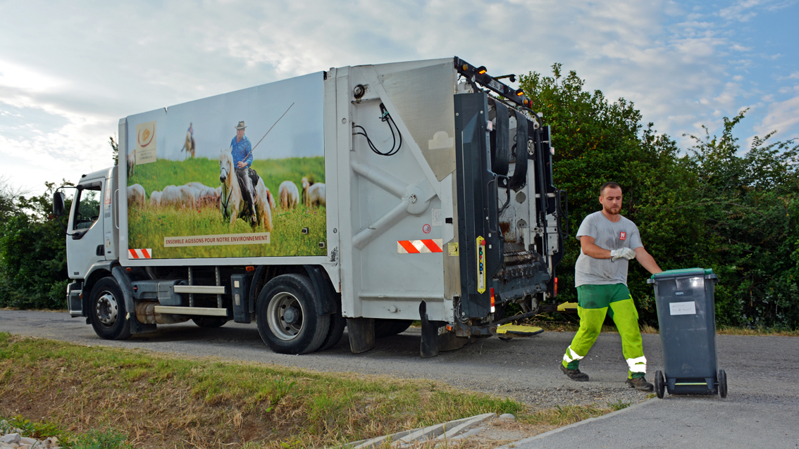 Une flotte de camions de collecte décorée aux couleurs de la Petite Camargue