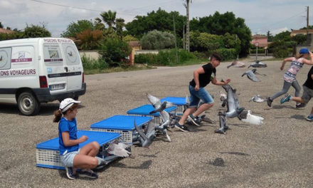 Un après-midi au Colombier Cailaren