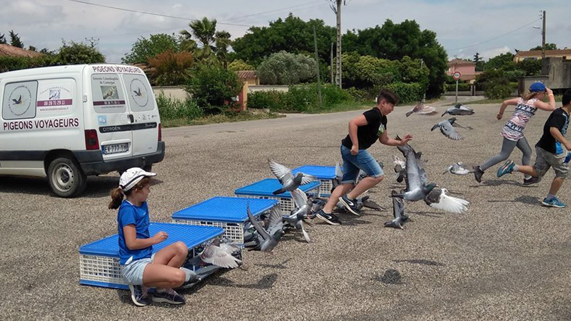 Un après-midi au Colombier Cailaren