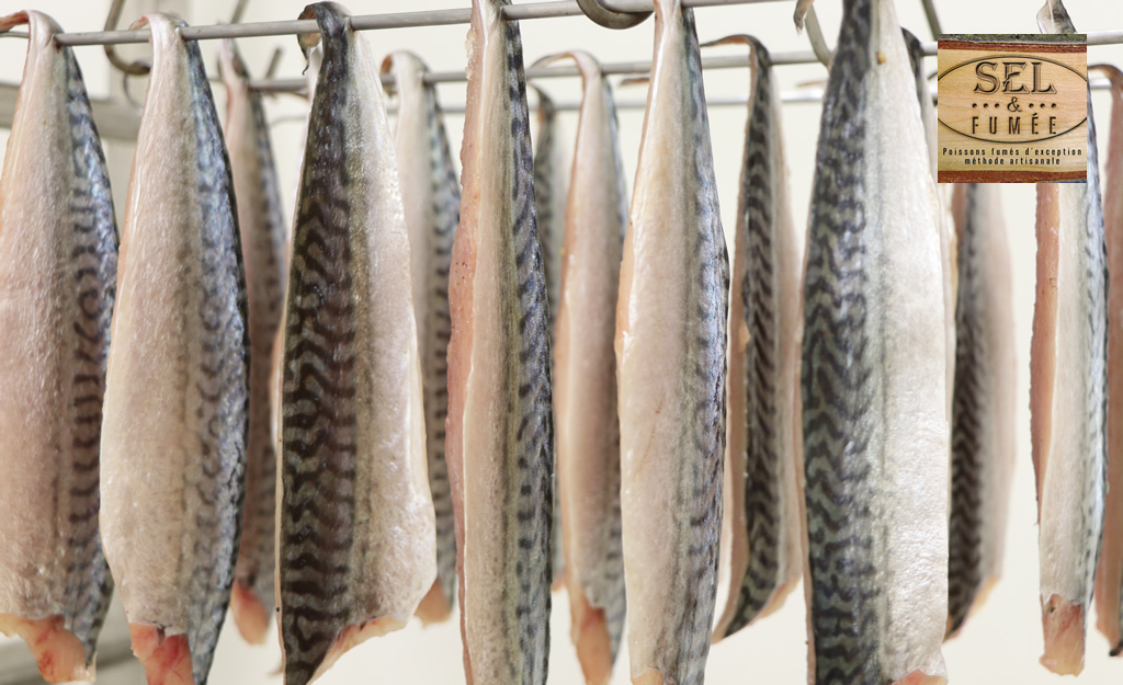 ENTRE SEL ET FUMÉE, FOLCO JULLIEN SUBLIME LE POISSON MÉDITERRANÉEN