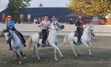 Veillée camarguaise au Mas de la Paix à la manade Saint-Louis