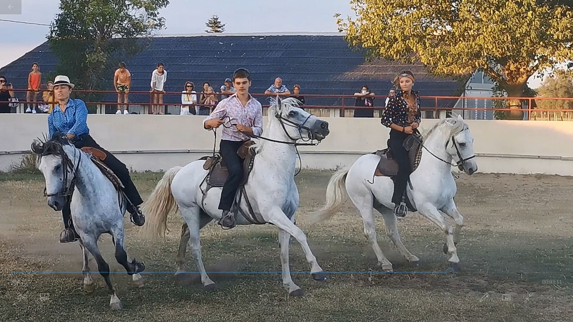 Veillée camarguaise au Mas de la Paix à la manade Saint-Louis
