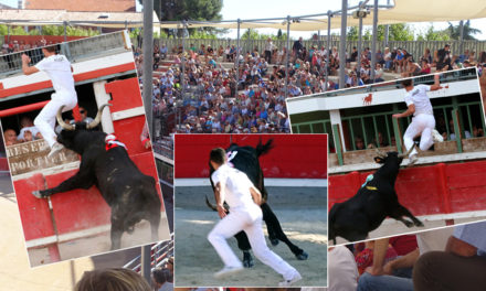 Vauvert : la semaine de l’Aficion du 8 au 16 août 2020