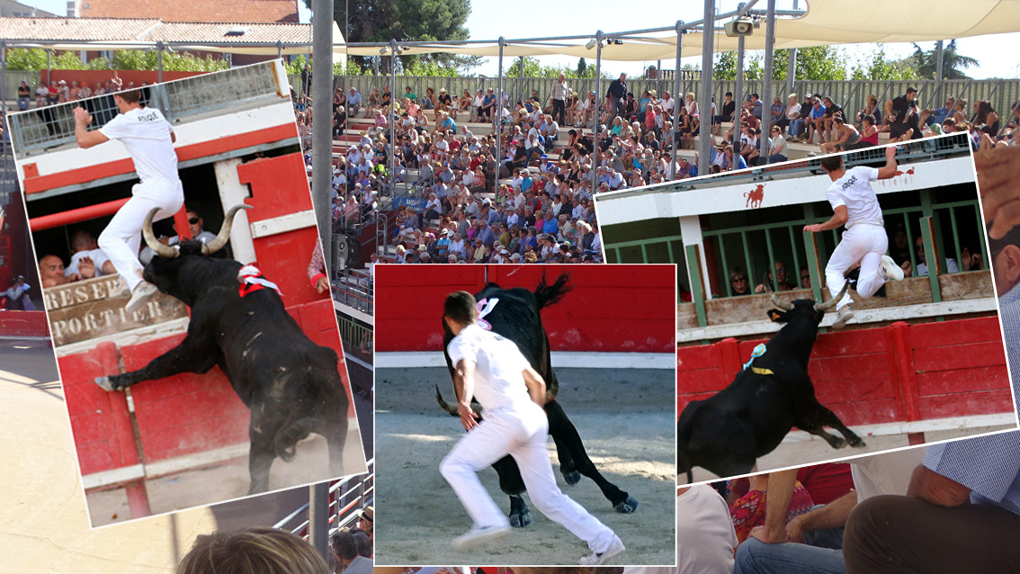 Vauvert : la semaine de l’Aficion du 8 au 16 août 2020