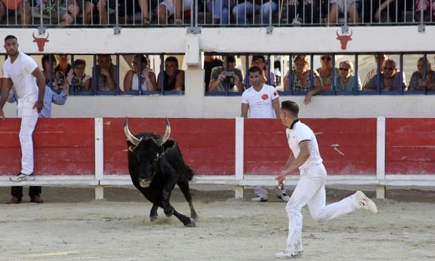Vauvert : Festiv’ arènes termine par une course aux as très attendue !