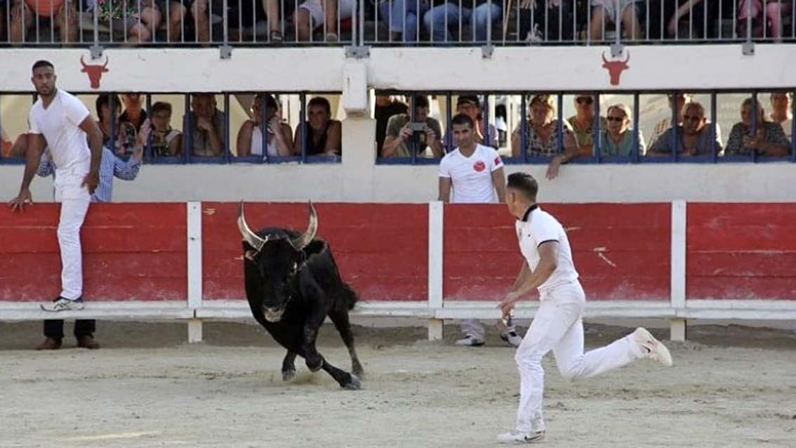Vauvert : Festiv’ arènes termine par une course aux as très attendue !