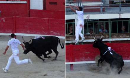 Le trophée Camargue Médical pour Artaban et Vincent Félix