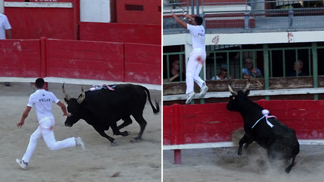 Le trophée Camargue Médical pour Artaban et Vincent Félix