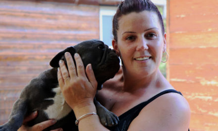 Les petits diables de Camargue, chiens chouchous