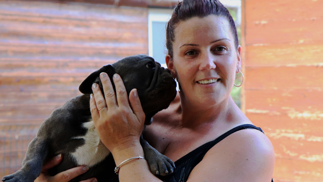 Les petits diables de Camargue, chiens chouchous